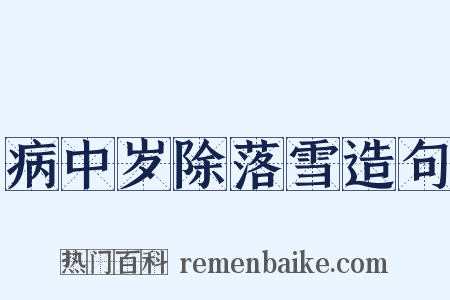 病中岁除落雪造句是什么意思的图片